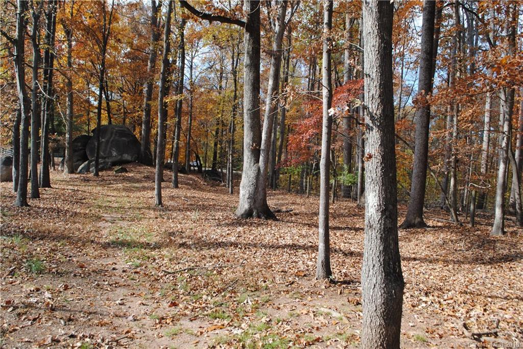 11628 Abernathy Road Charlotte, NC 28216 - Photo 15 of 24 Gallery Image 15