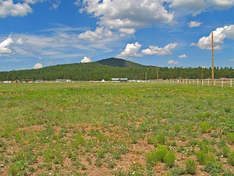 446 North Tractor Flat Road Williams, AZ 86046 - Photo 1 of 1 Primary Photo