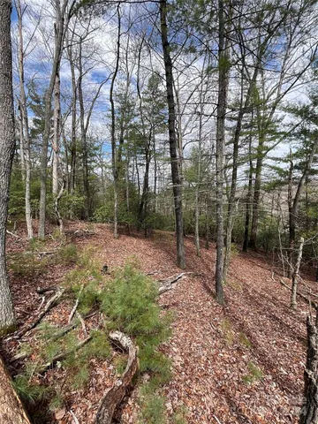 $300,000 | 9 French Broad Overlook Overlook, Unit LOT 3, Arden, NC 28704