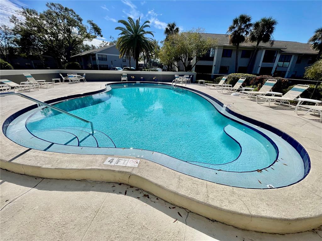 2150 Elm Street, Unit 605 Dunedin, FL 34698 - Photo 52 of 55 a view of a swimming pool with lounge chair