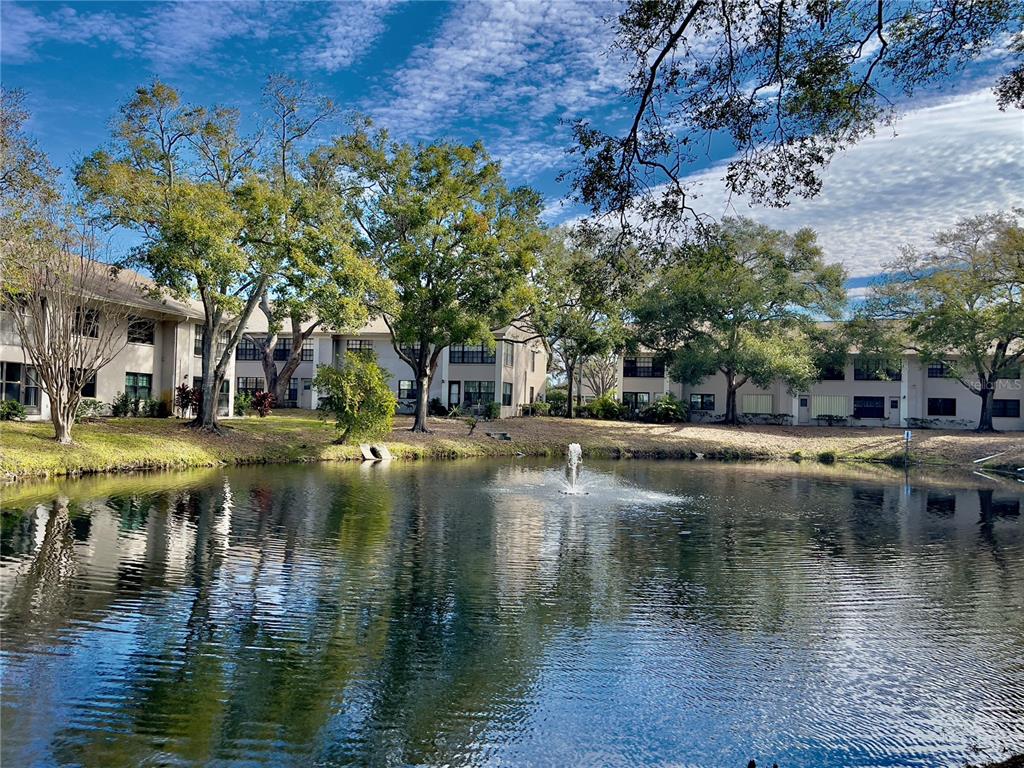 2150 Elm Street, Unit 605 Dunedin, FL 34698 - Photo 54 of 55 a view of pool with tree s