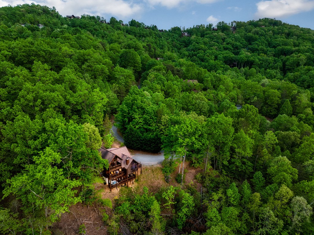 273 Deer Crest Heights Blue Ridge, GA 30513 - Photo 72 of 72 Gallery Image 72