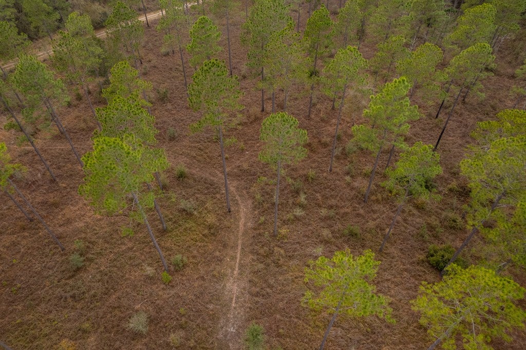 1363 Milton Road Quitman, GA 31643 - Photo 13 of 16 Gallery Image 13