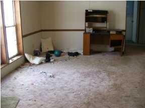 2851 Lee Road Saranac, MI 48881 - Photo 4 of 6 Additional Photo