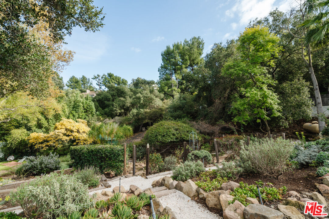 2002 Tuna Canyon Road Topanga, CA 90290 - Photo 14 of 70 a view of a garden with plants and large trees