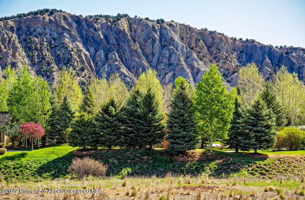 Tbd Midland Loop, Unit WP4 Carbondale, CO 81623 - Photo 24 of 24 a view of a garden