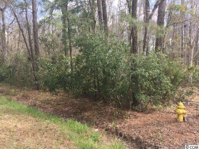 Tbd Horseshoe Road North Little River, SC 29566 - Photo 1 of 24 Gallery Image 1
