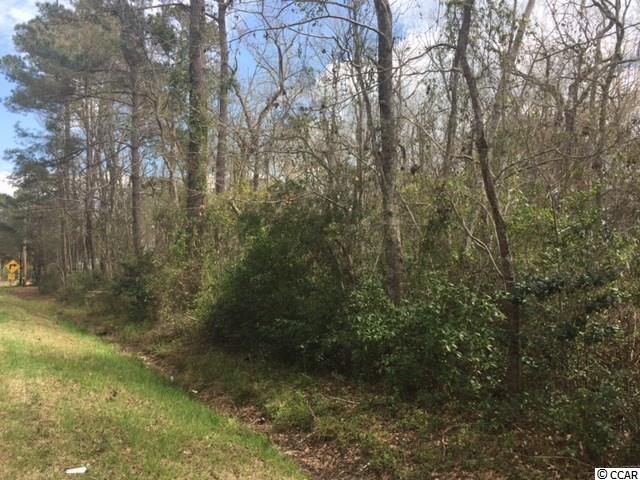 Tbd Horseshoe Road North Little River, SC 29566 - Photo 4 of 24 Gallery Image 4