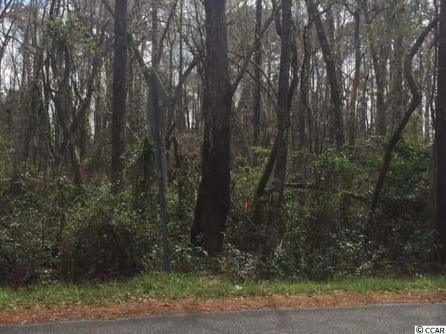 Tbd Horseshoe Road North Little River, SC 29566 - Photo 5 of 24 Gallery Image 5