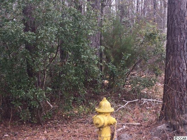 Tbd Horseshoe Road North Little River, SC 29566 - Photo 8 of 24 Gallery Image 8