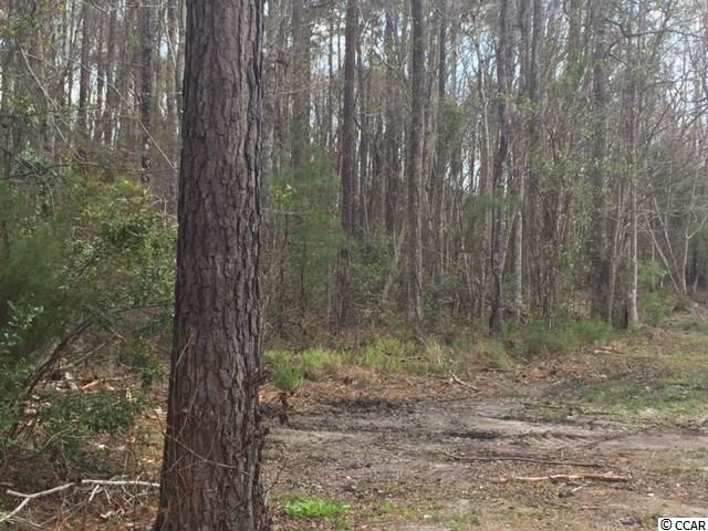 Tbd Horseshoe Road North Little River, SC 29566 - Photo 9 of 24 Gallery Image 9