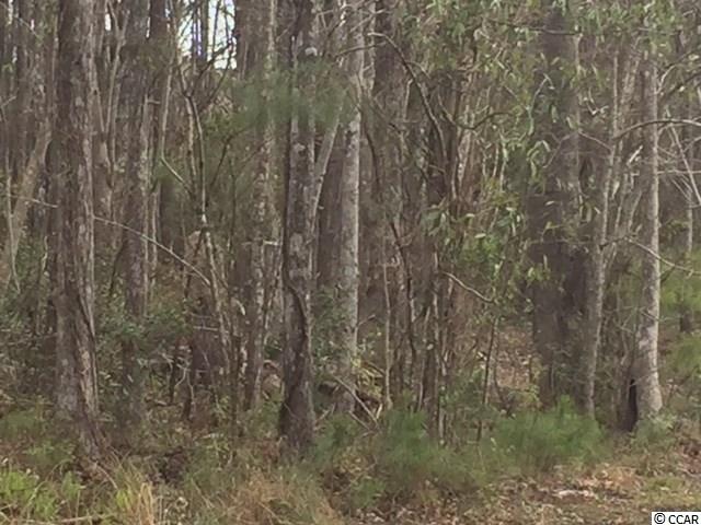 Tbd Horseshoe Road North Little River, SC 29566 - Photo 10 of 24 Gallery Image 10