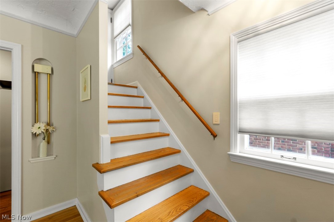 2479 Traymore Road Cleveland, OH 44118 - Photo 19 of 35