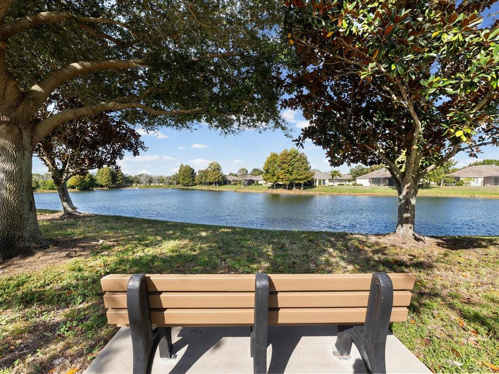 2126 Parrot Fish Drive Holiday, FL 34691 - Photo 42 of 82