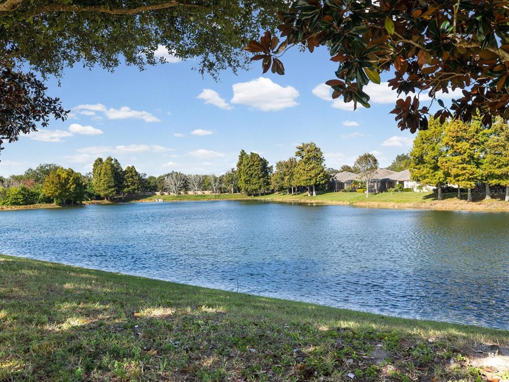 2126 Parrot Fish Drive Holiday, FL 34691 - Photo 43 of 82