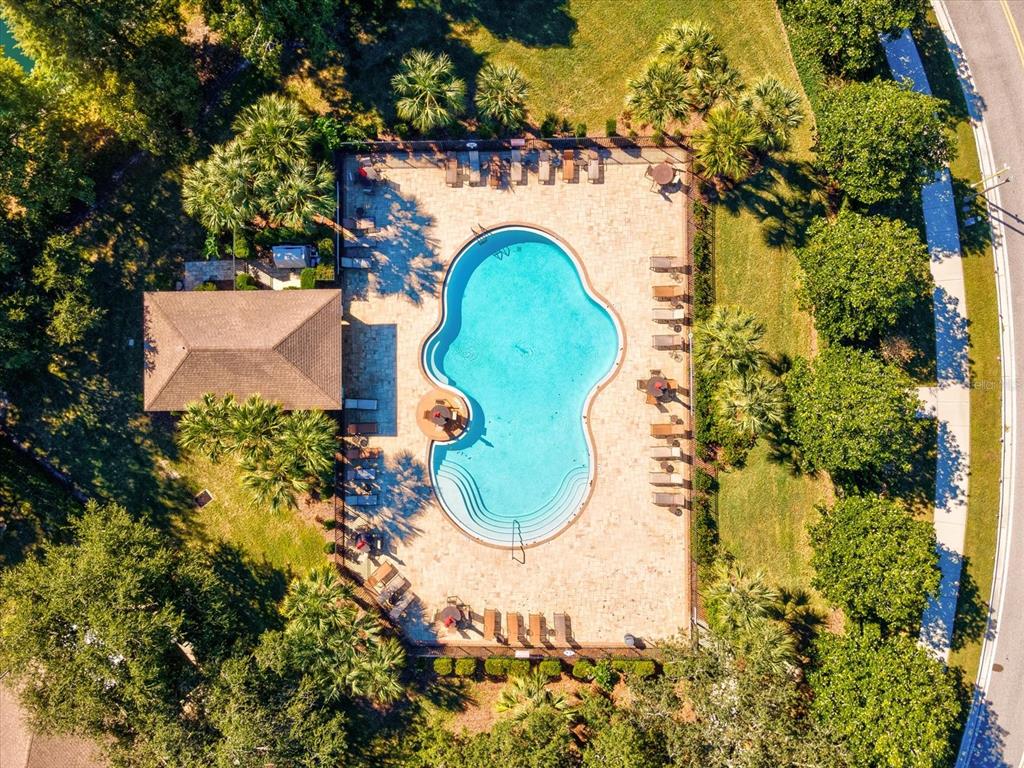 2126 Parrot Fish Drive Holiday, FL 34691 - Photo 45 of 82