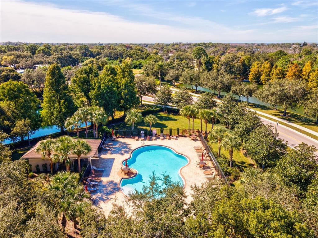 2126 Parrot Fish Drive Holiday, FL 34691 - Photo 47 of 82