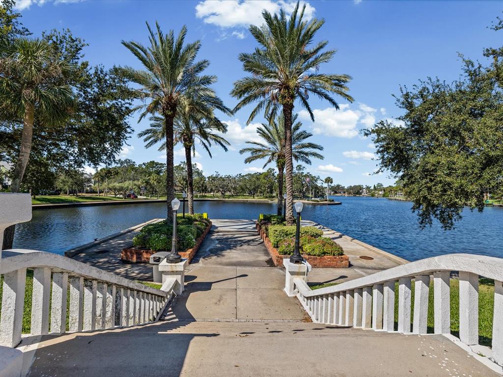 2126 Parrot Fish Drive Holiday, FL 34691 - Photo 75 of 82