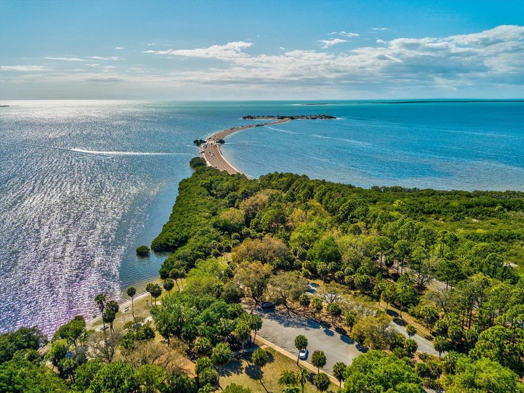 2126 Parrot Fish Drive Holiday, FL 34691 - Photo 78 of 82