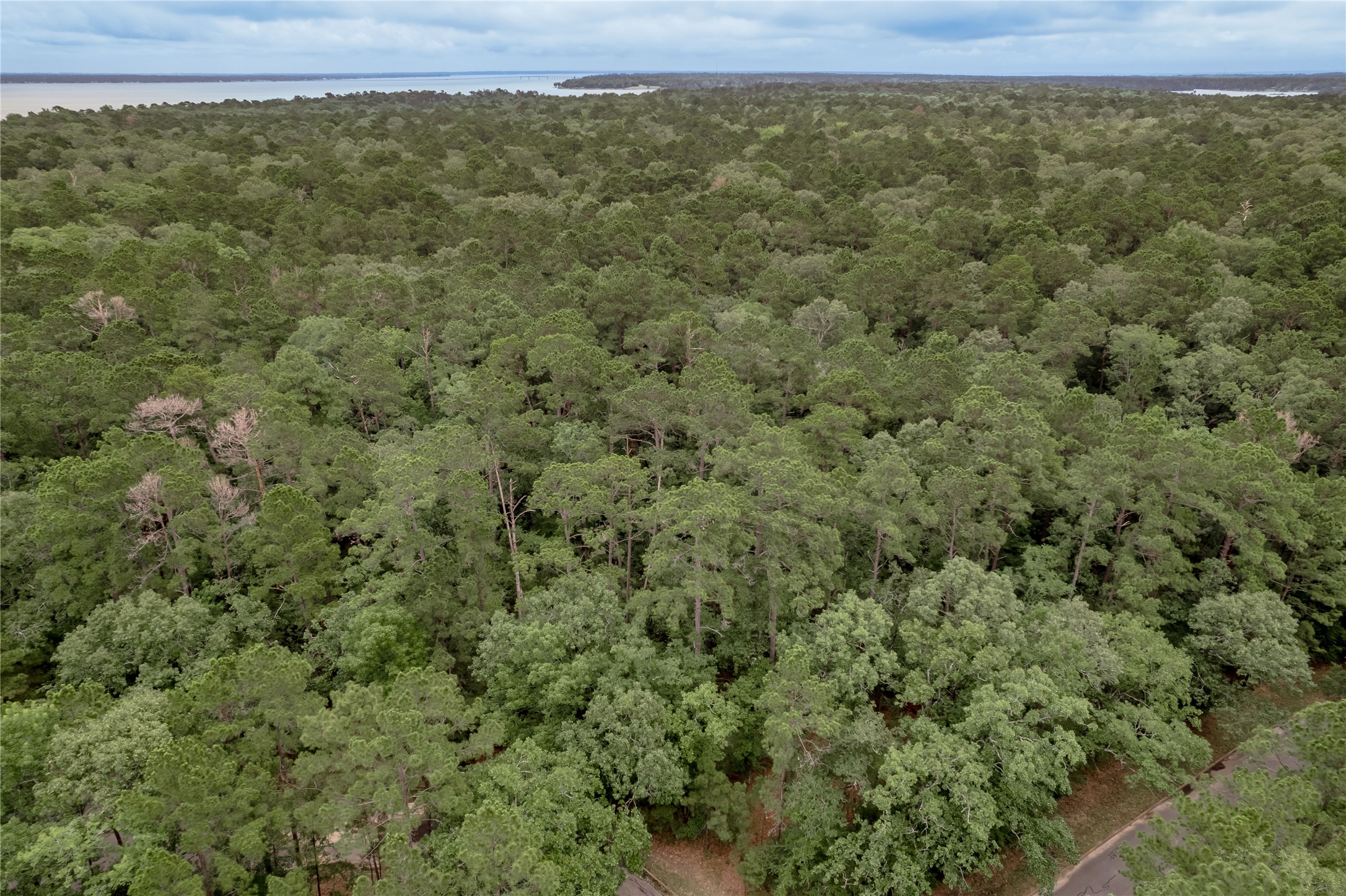 Lot 9 Rohm Place Point Blank, TX 77364 - Photo 18 of 26