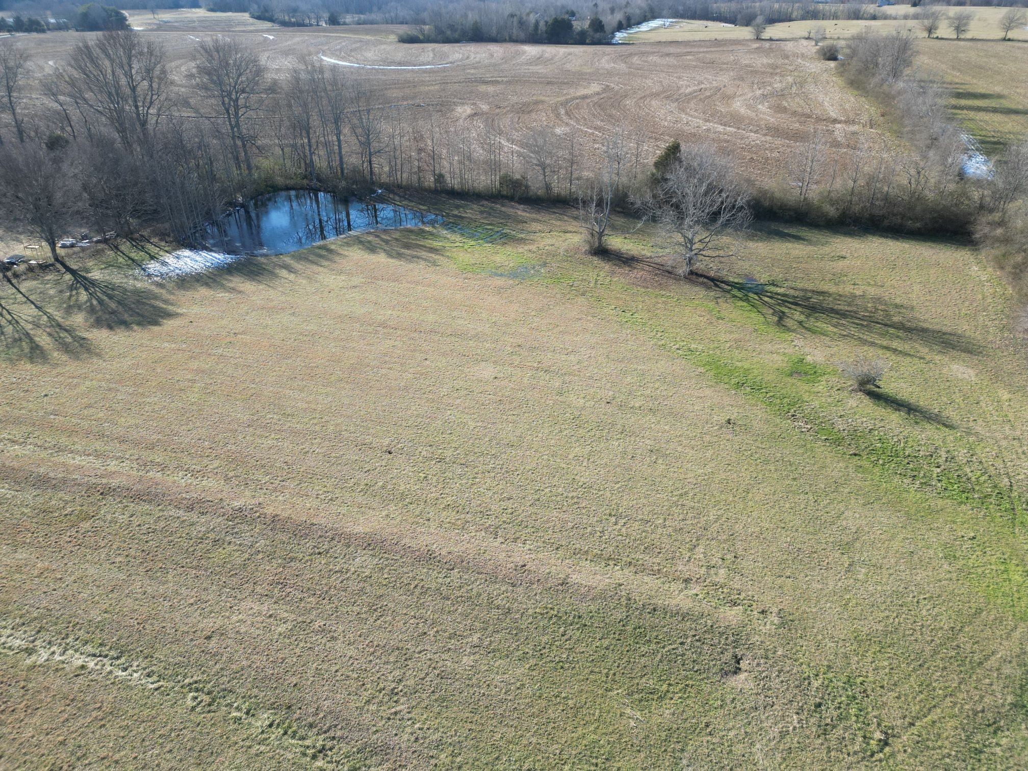 1063 Rabbit Trail Road Five Points, TN 38457 - Photo 51 of 57 a view of a backyard