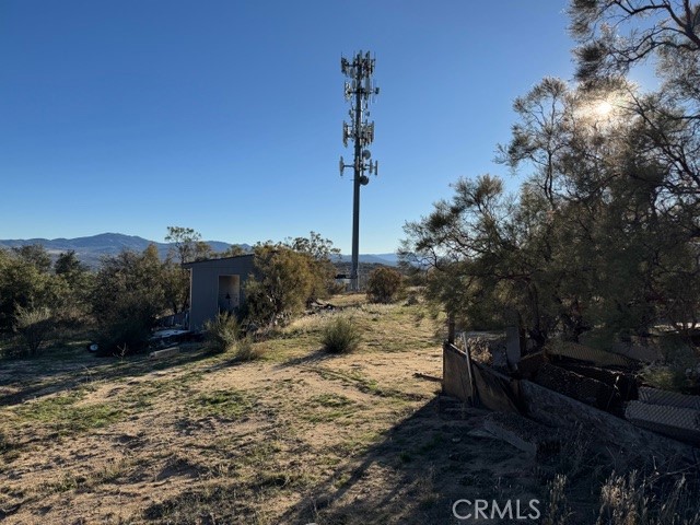 54740 Cave Rock Road Anza, CA 92539 - Photo 39 of 47 a view of a yard with trees