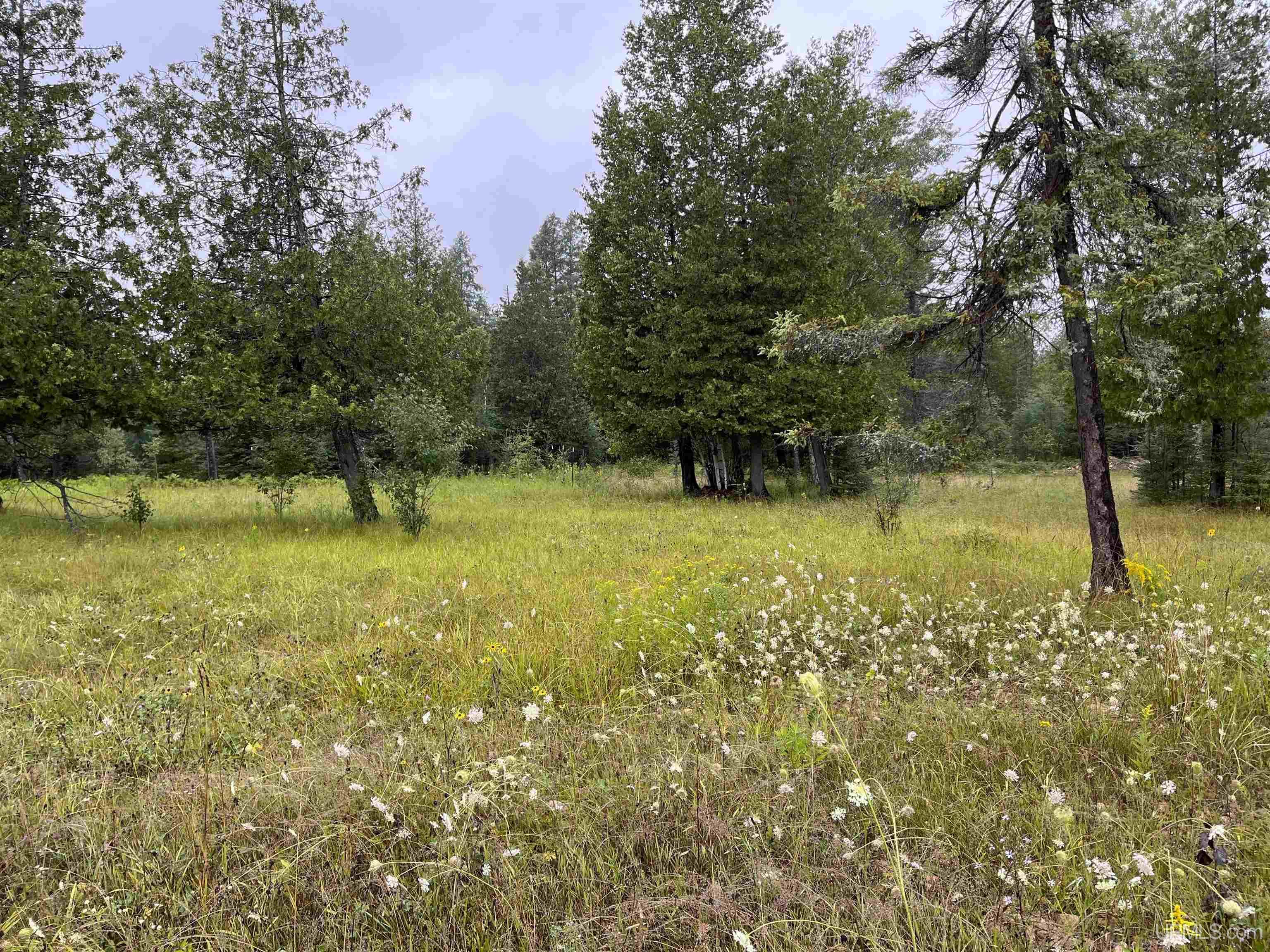 54868 County 426 M.5 Road Felch, MI 49831 - Photo 27 of 29