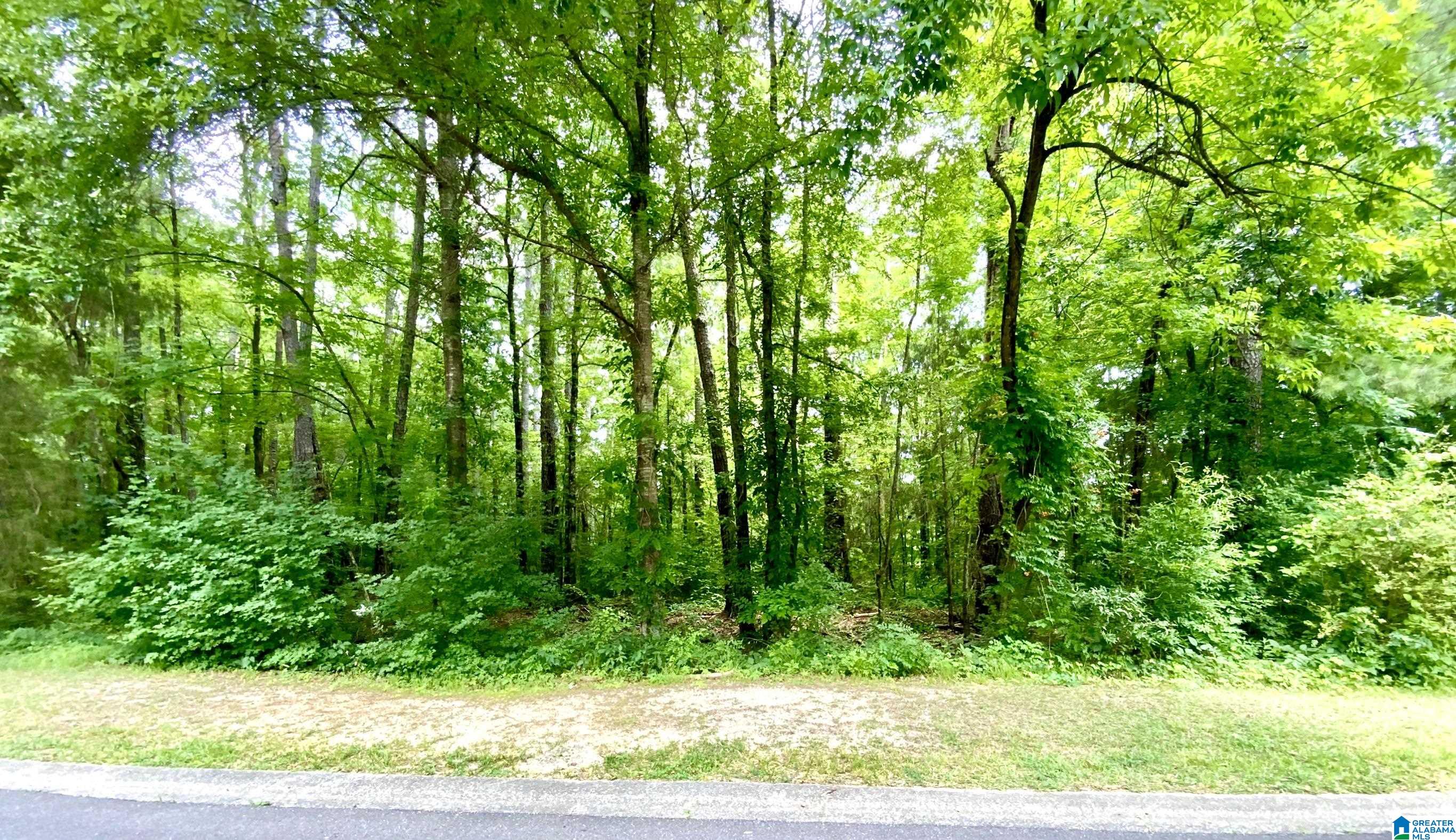 Shamrock Drive, Unit 3 Helena, AL 35080 - Photo 1 of 4