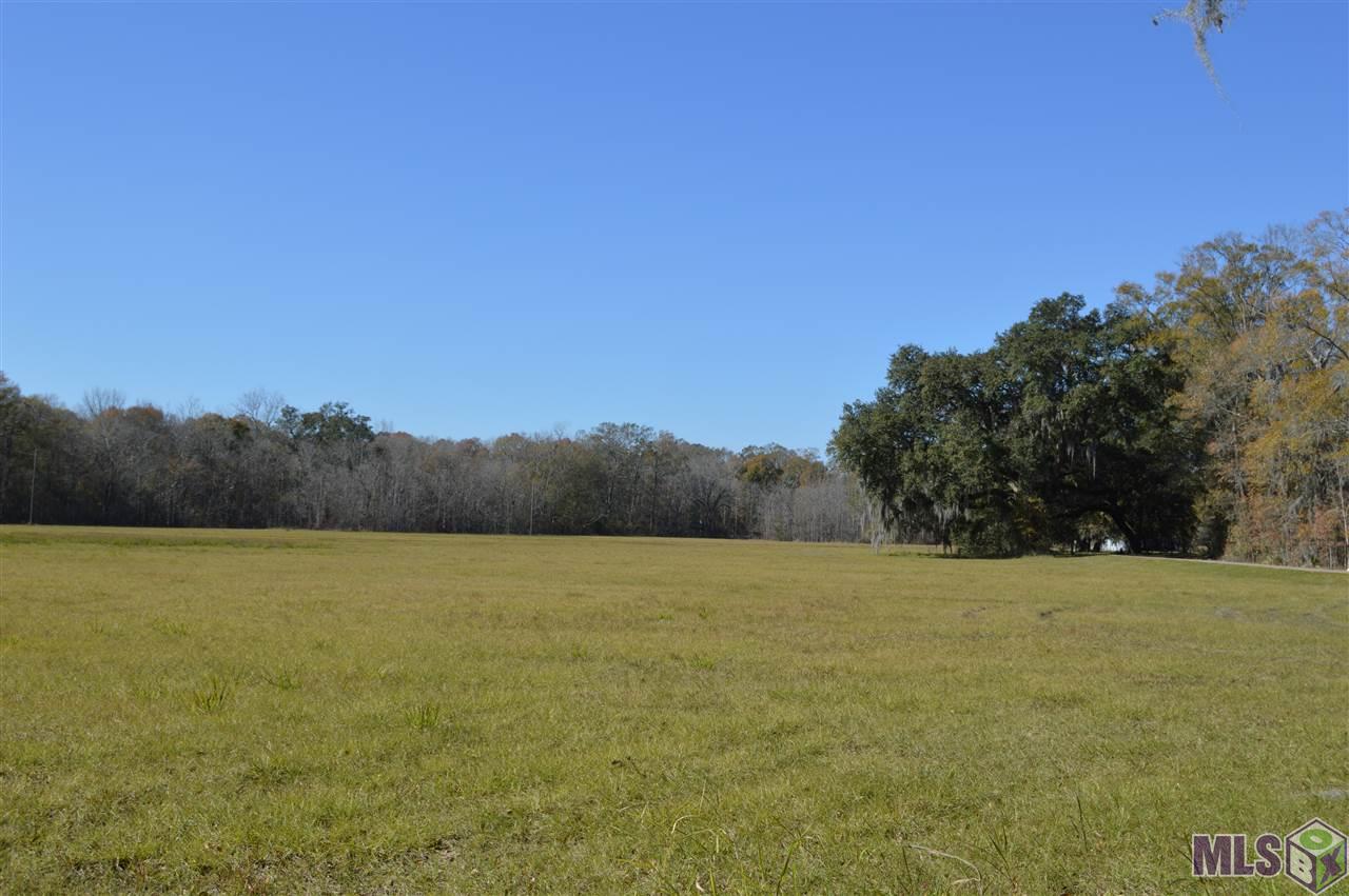 Lot 7 New River Road St. Amant, LA 70774 - Photo 3 of 8 Gallery Image 3