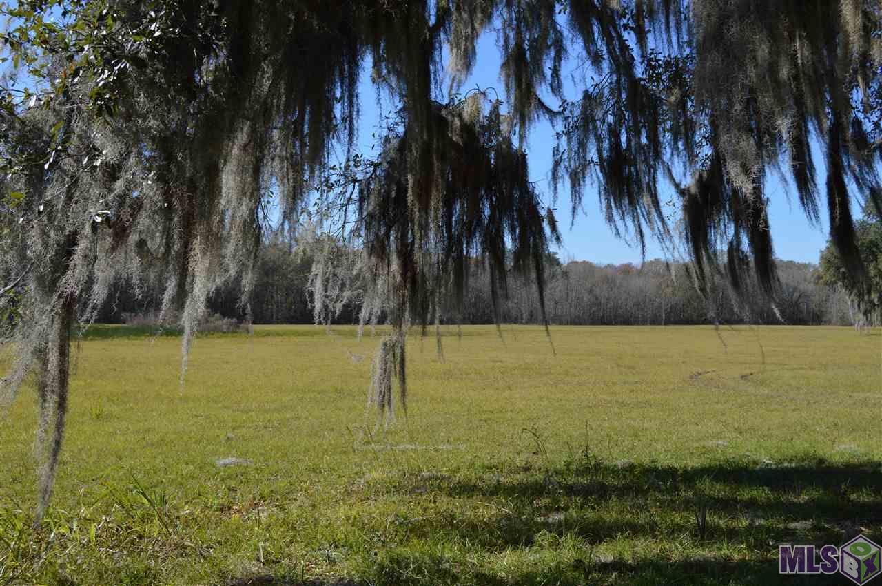 Lot 7 New River Road St. Amant, LA 70774 - Photo 8 of 8 Gallery Image 8