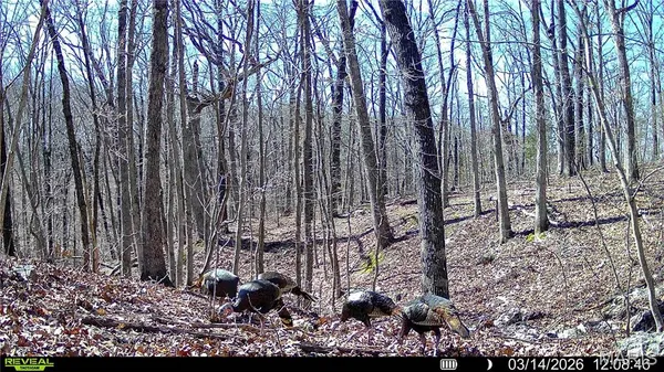 $138,500 | 113 East Koester Springs Road, French Village, MO 63036