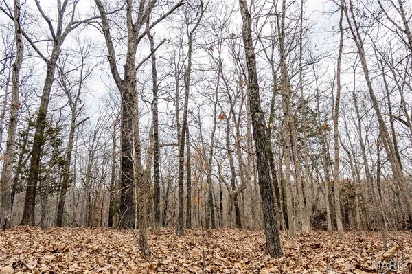 $138,500 | 113 East Koester Springs Road, French Village, MO 63036