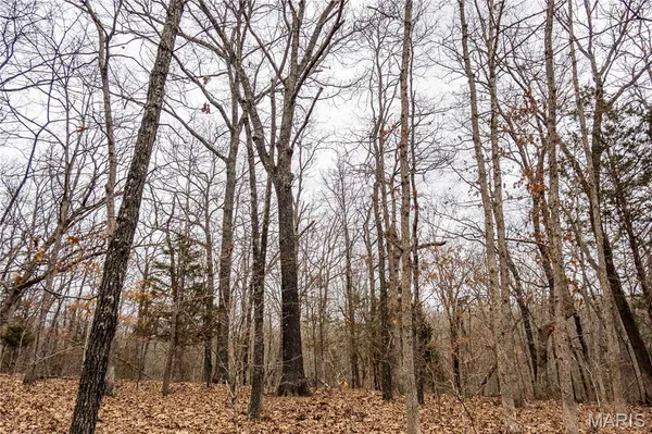 $138,500 | 113 East Koester Springs Road, French Village, MO 63036