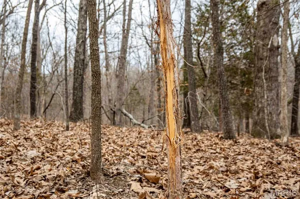 $138,500 | 113 East Koester Springs Road, French Village, MO 63036