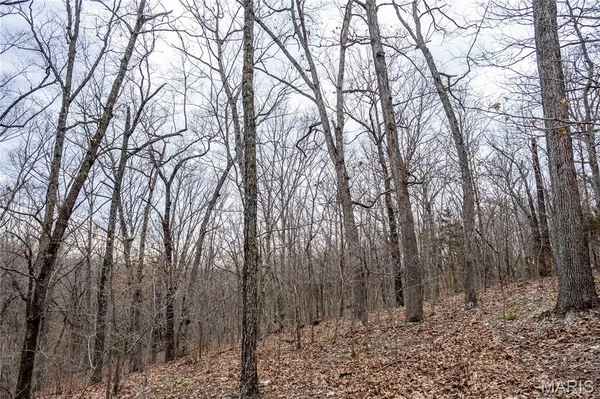 $138,500 | 113 East Koester Springs Road, French Village, MO 63036