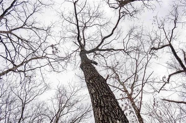 $138,500 | 113 East Koester Springs Road, French Village, MO 63036