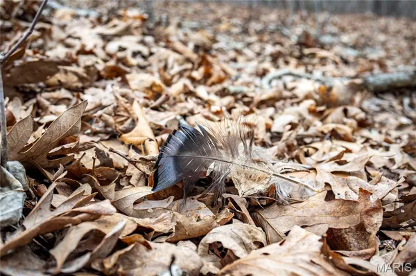 $138,500 | 113 East Koester Springs Road, French Village, MO 63036