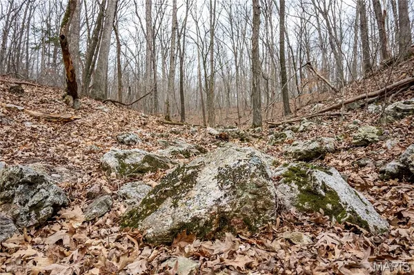 $138,500 | 113 East Koester Springs Road, French Village, MO 63036