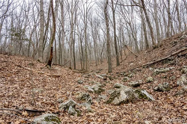 $138,500 | 113 East Koester Springs Road, French Village, MO 63036