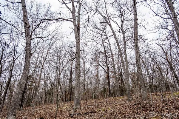 $138,500 | 113 East Koester Springs Road, French Village, MO 63036