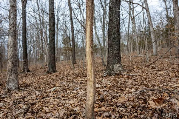 $138,500 | 113 East Koester Springs Road, French Village, MO 63036