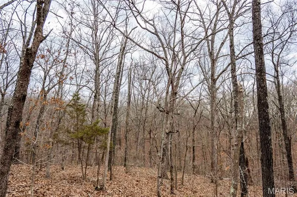 $138,500 | 113 East Koester Springs Road, French Village, MO 63036