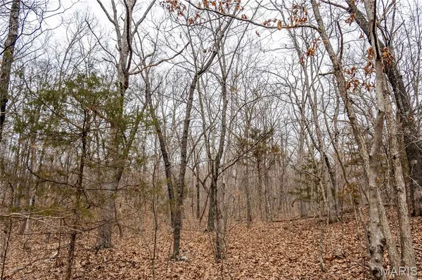$138,500 | 113 East Koester Springs Road, French Village, MO 63036