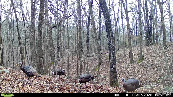 $138,500 | 113 East Koester Springs Road, French Village, MO 63036