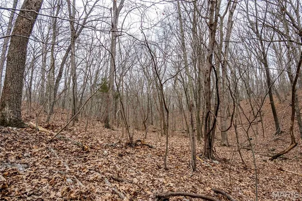 $138,500 | 113 East Koester Springs Road, French Village, MO 63036