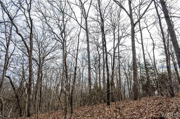 $138,500 | 113 East Koester Springs Road, French Village, MO 63036