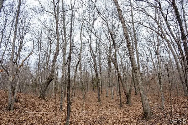 $138,500 | 113 East Koester Springs Road, French Village, MO 63036