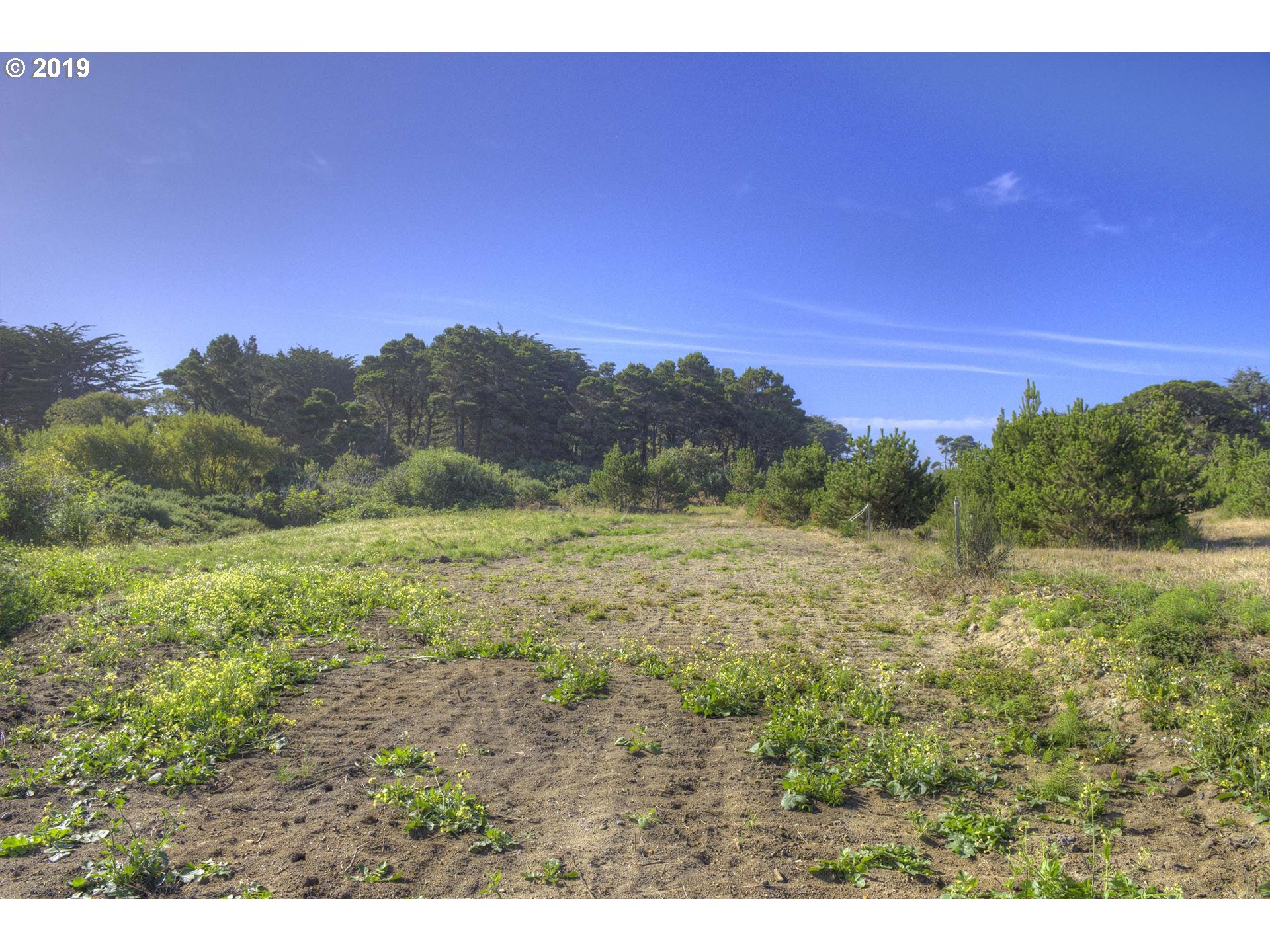 Beach Street Bandon, OR 97411 - Photo 1 of 1 Gallery Image 1