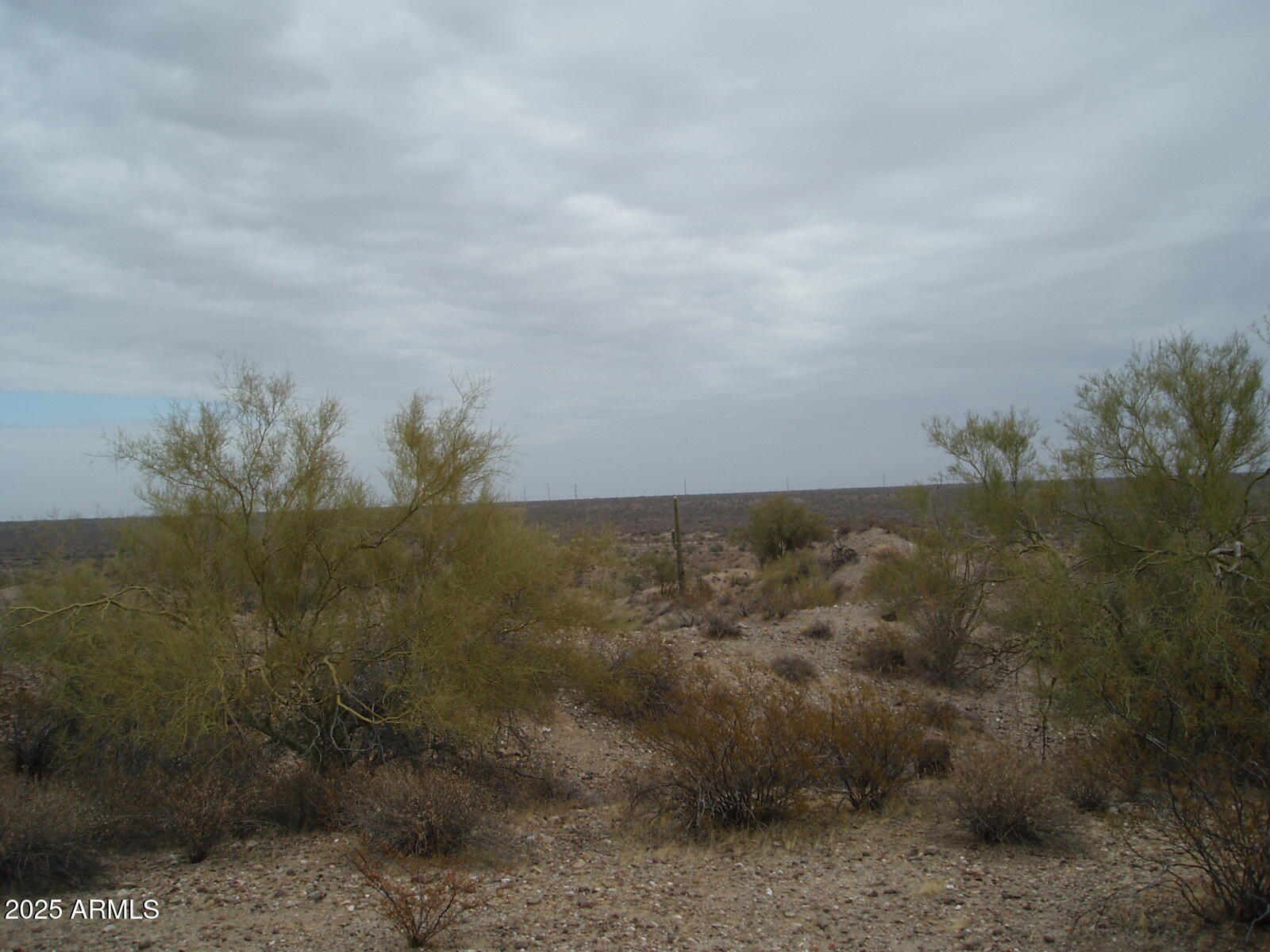 28700 West Dove Valley Road, Unit 6 PARCELS Wittmann, AZ 85361 - Photo 11 of 11 a view of a dry yard with trees