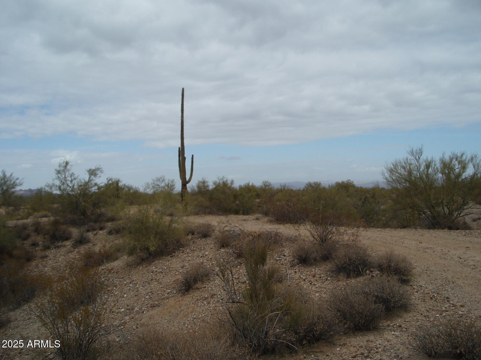 28700 West Dove Valley Road, Unit 6 PARCELS Wittmann, AZ 85361 - Photo 6 of 11 a view of a dry yard with trees